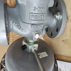 Высокий газовый регулятор 1098-EGR Fisher расхода потока для обслуживания кислорода коррозионных сред